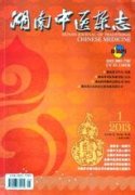 《湖南中医杂志》