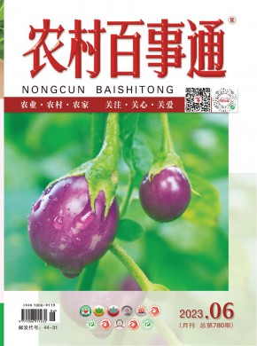 《农村百事通》