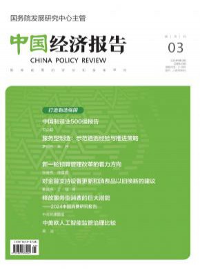 《中国经济报告》